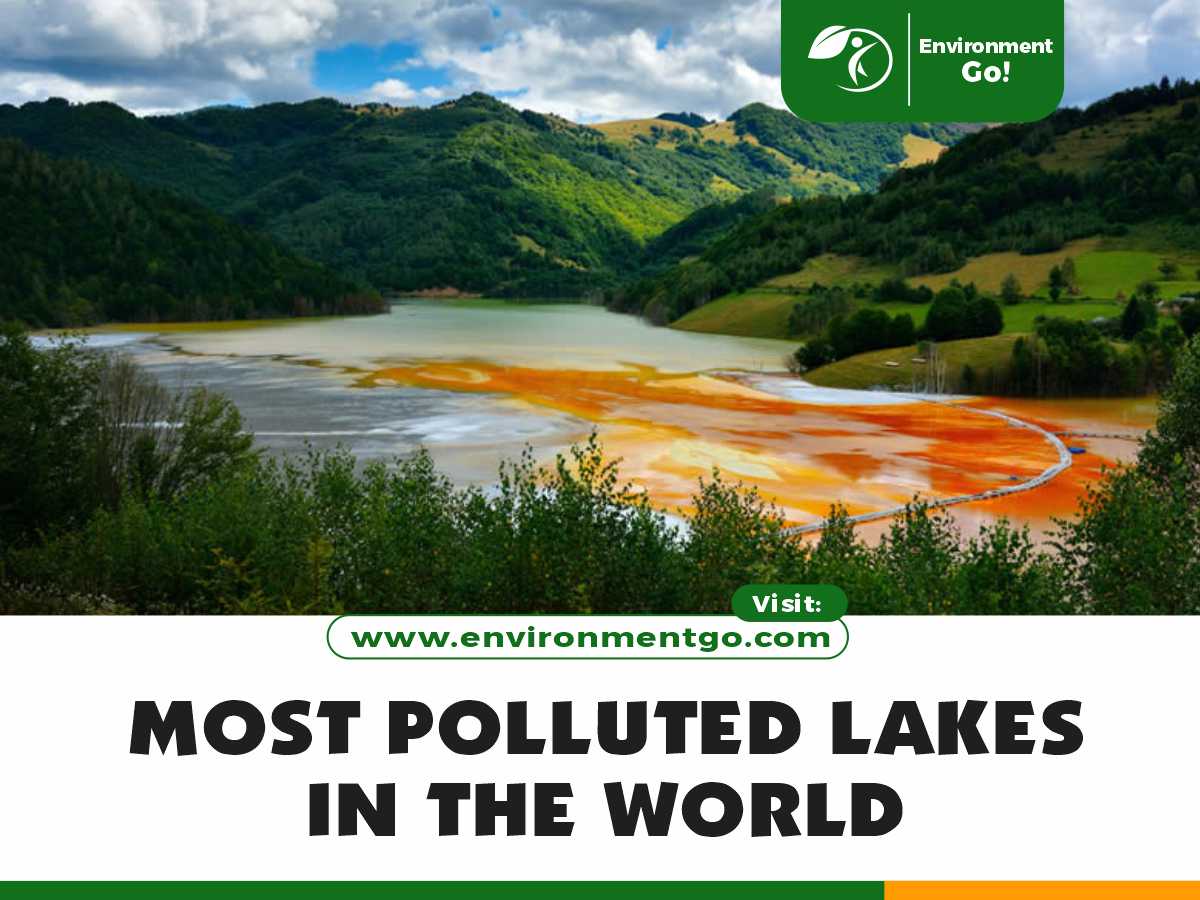 most polluted lakes in the world