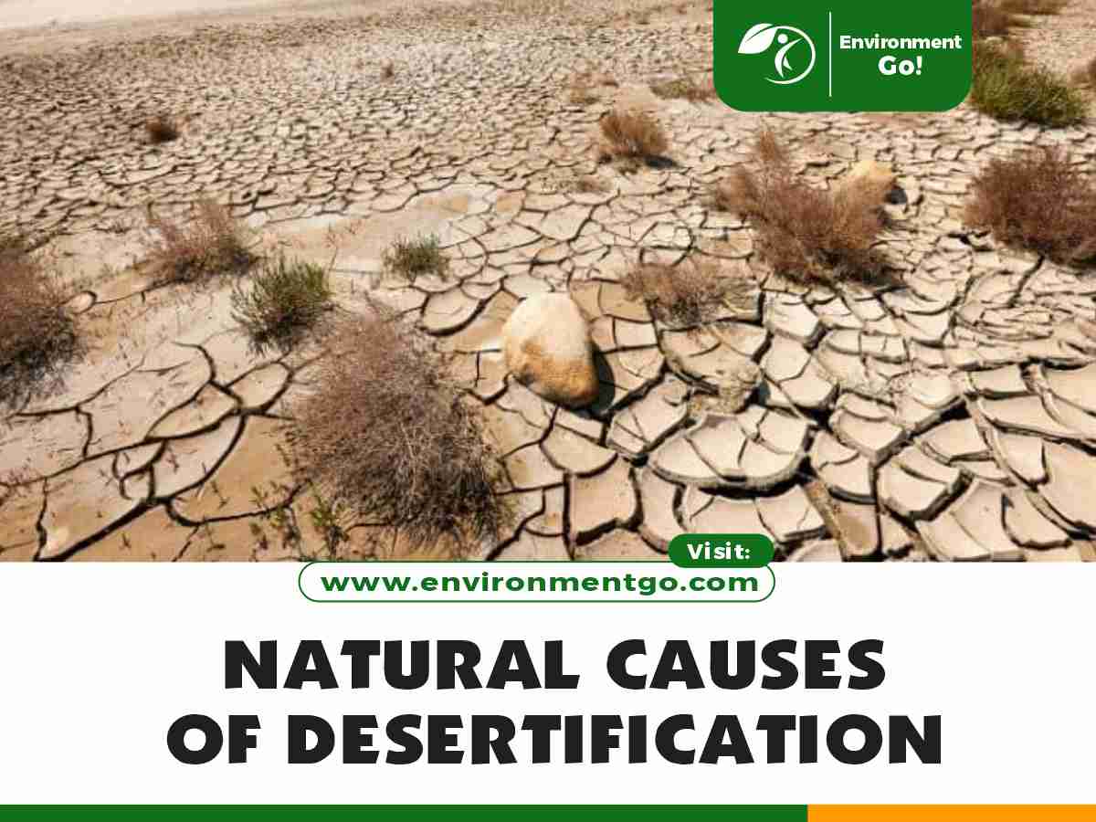 natural causes of desertification