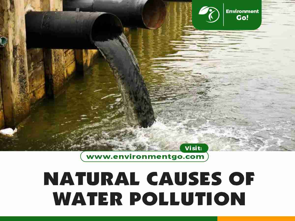 natural causes of water pollution