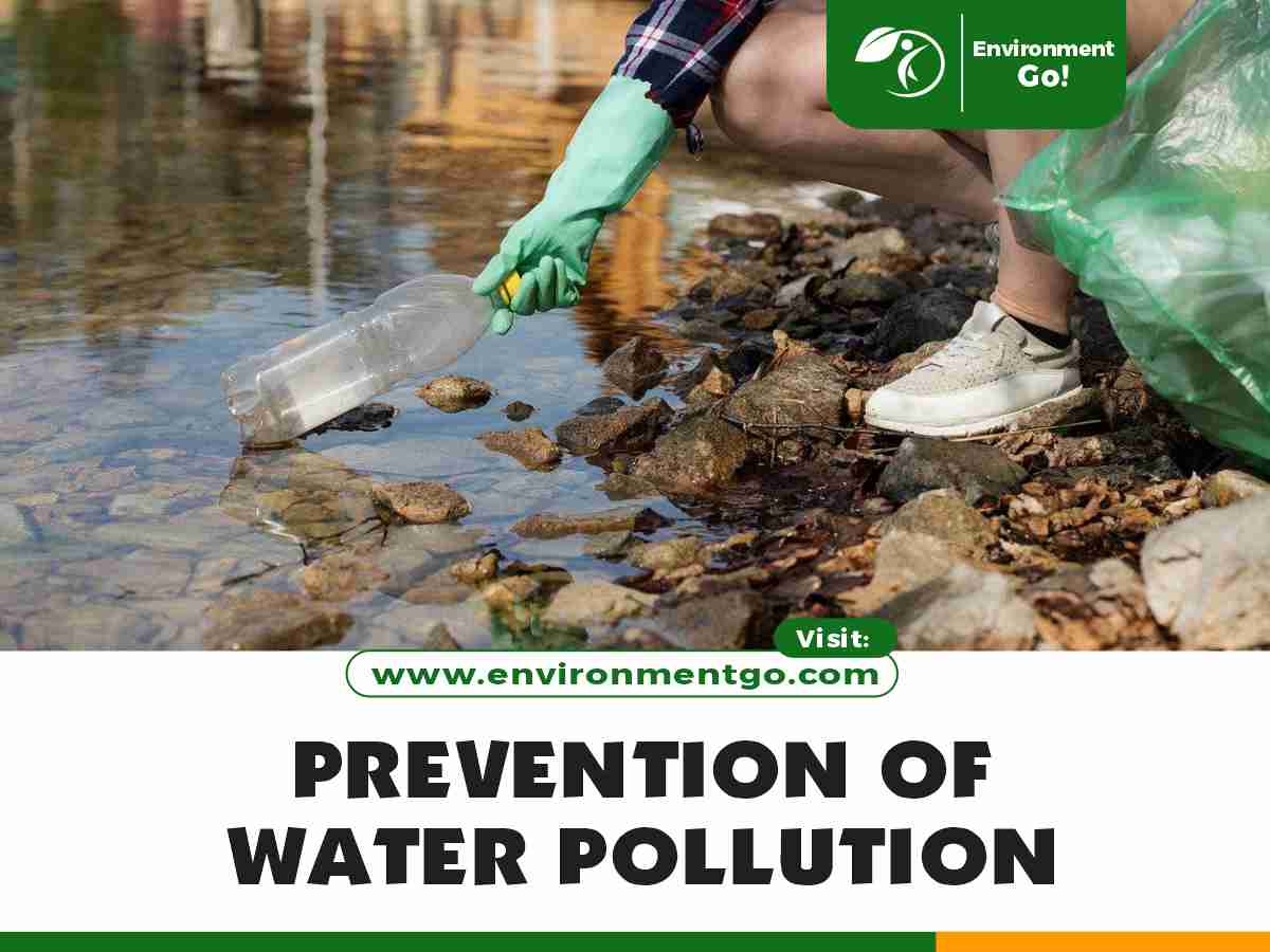 Water Environment Go Water Environment Go