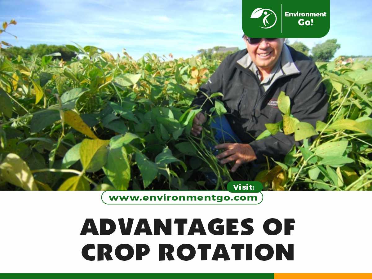 ADVANTAGES OF CROP ROTATION