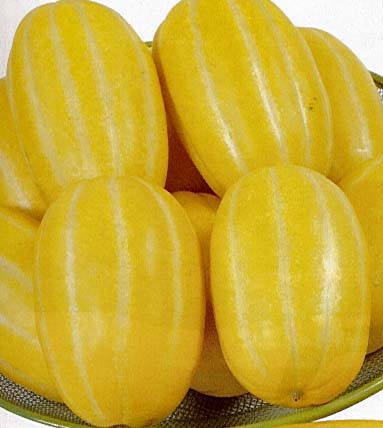 Different Types of Melons