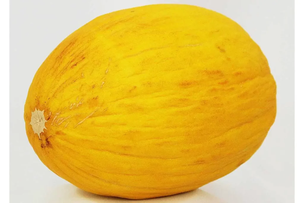 Different Types of Melons