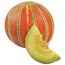 Different Types of Melons
