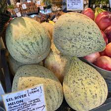 Different Types of Melons