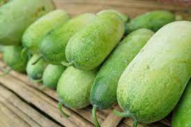 Different Types of Melons