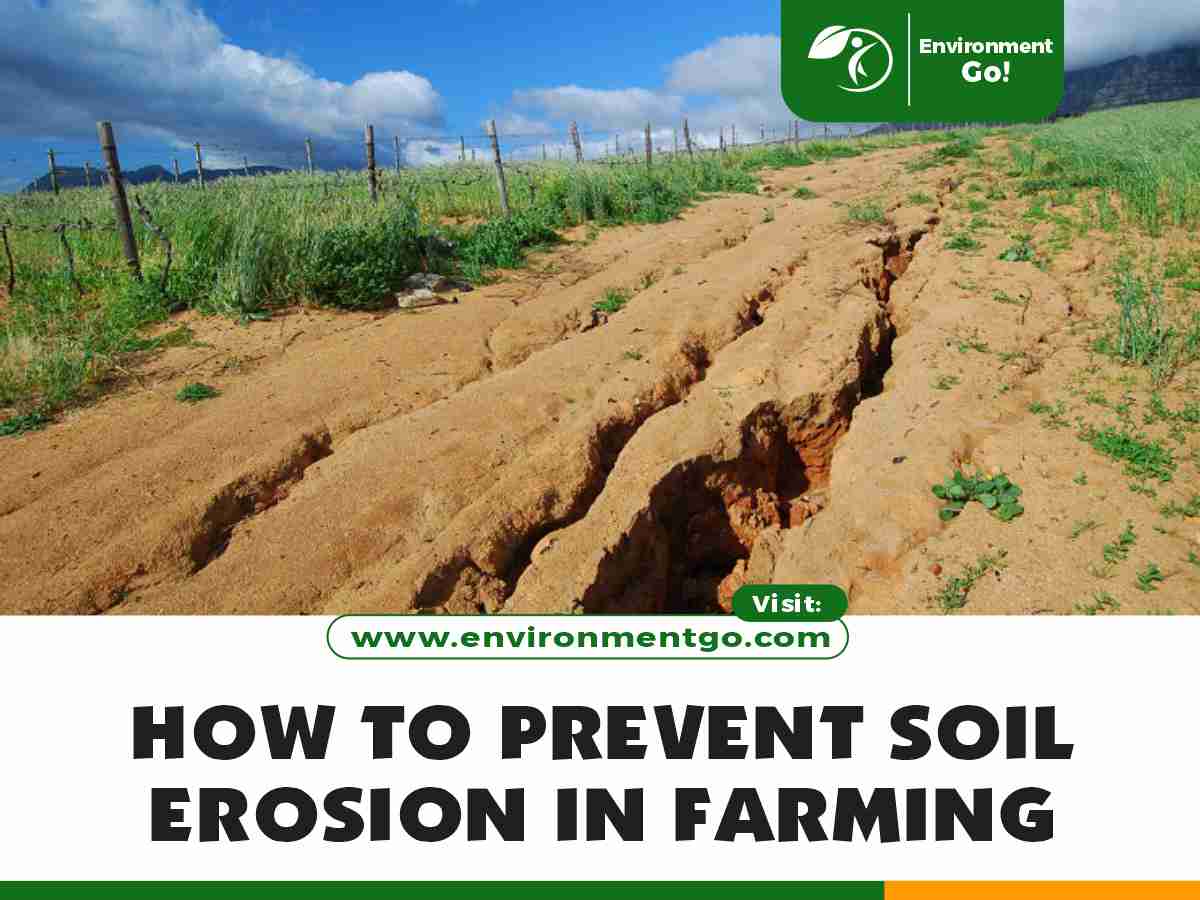 How to Prevent Soil Erosion in Farming