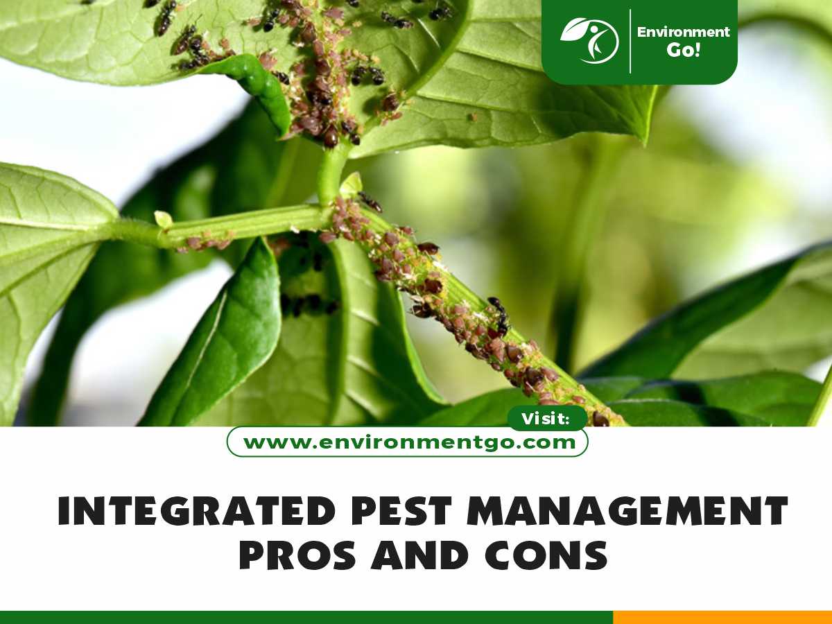 integrated pest management pros and cons