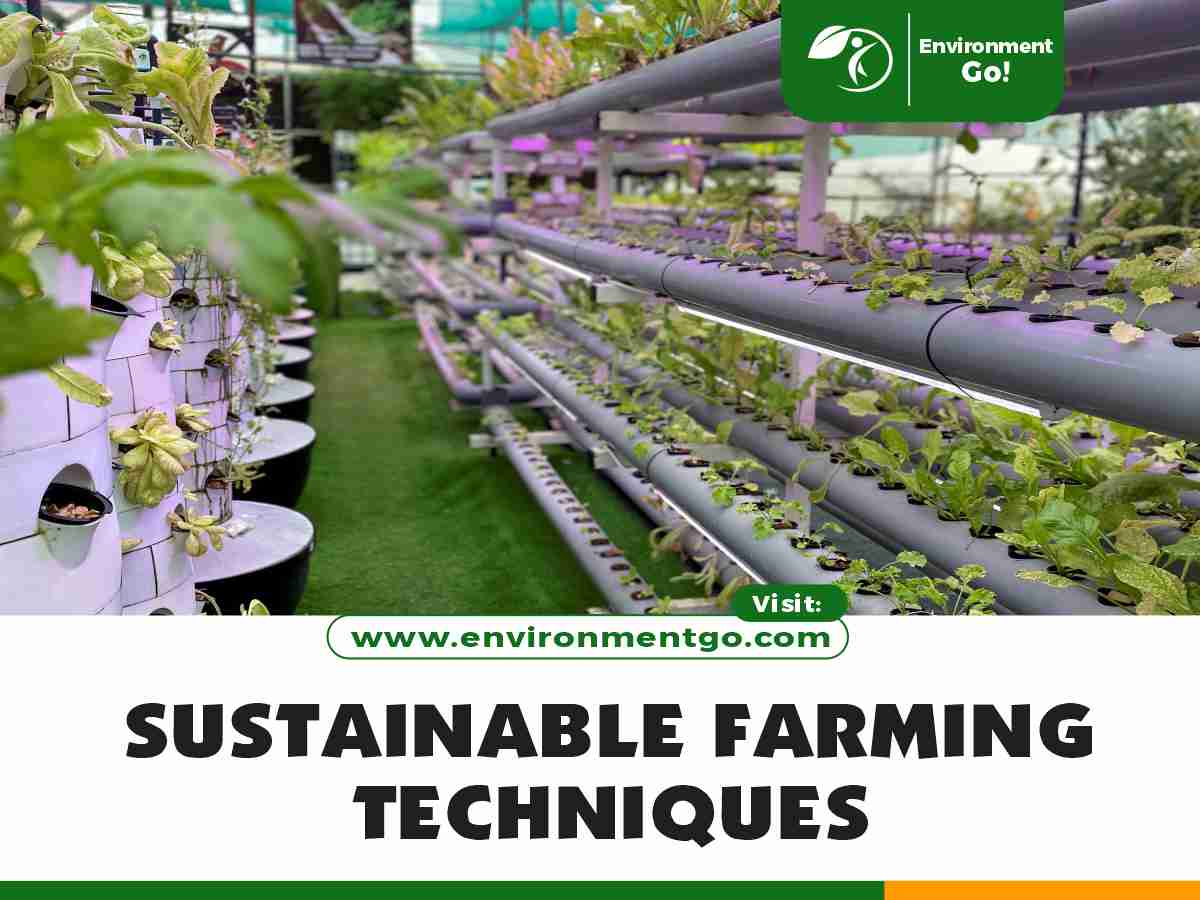 Sustainable Farming Techniques