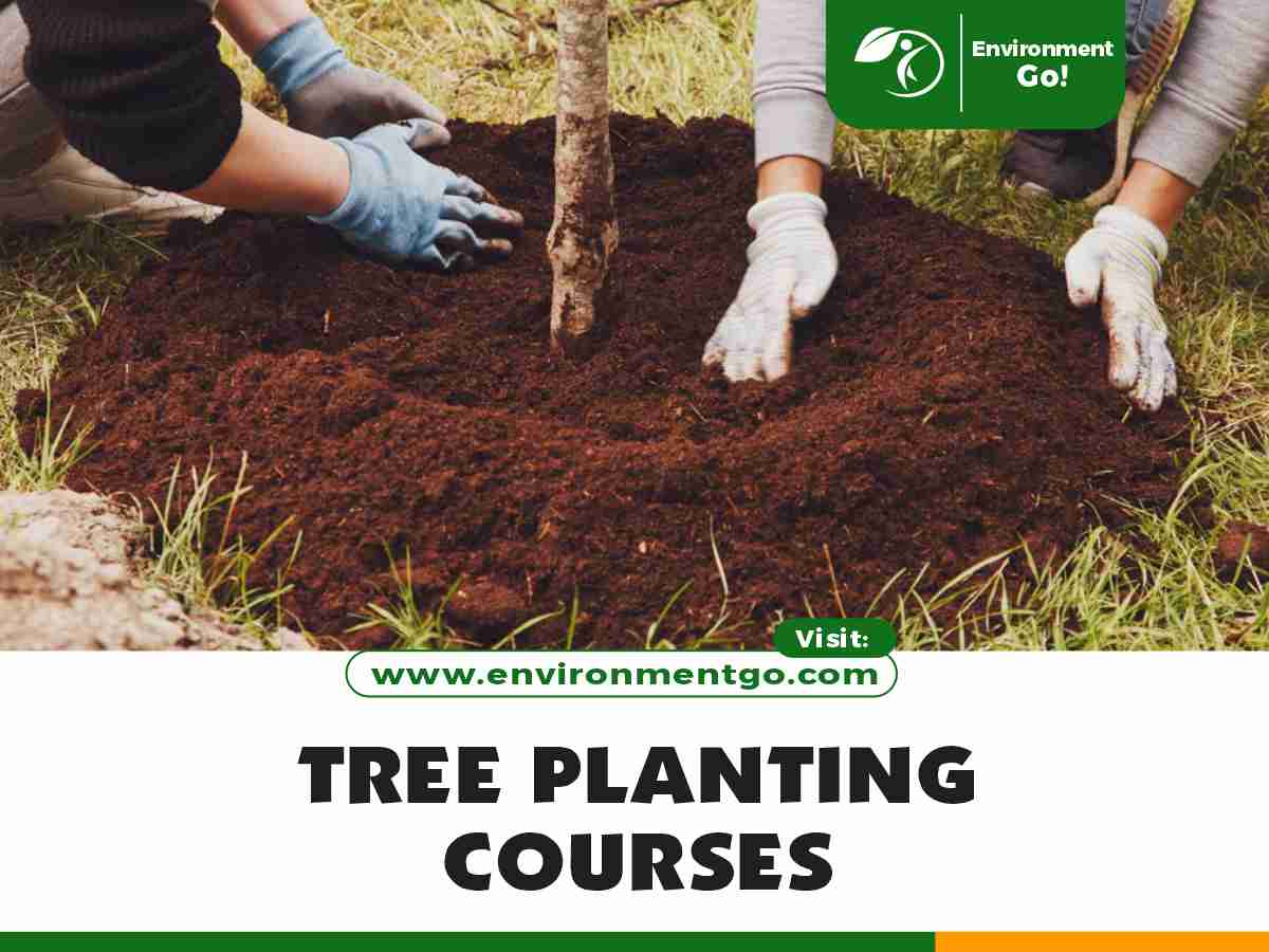 tree planting courses