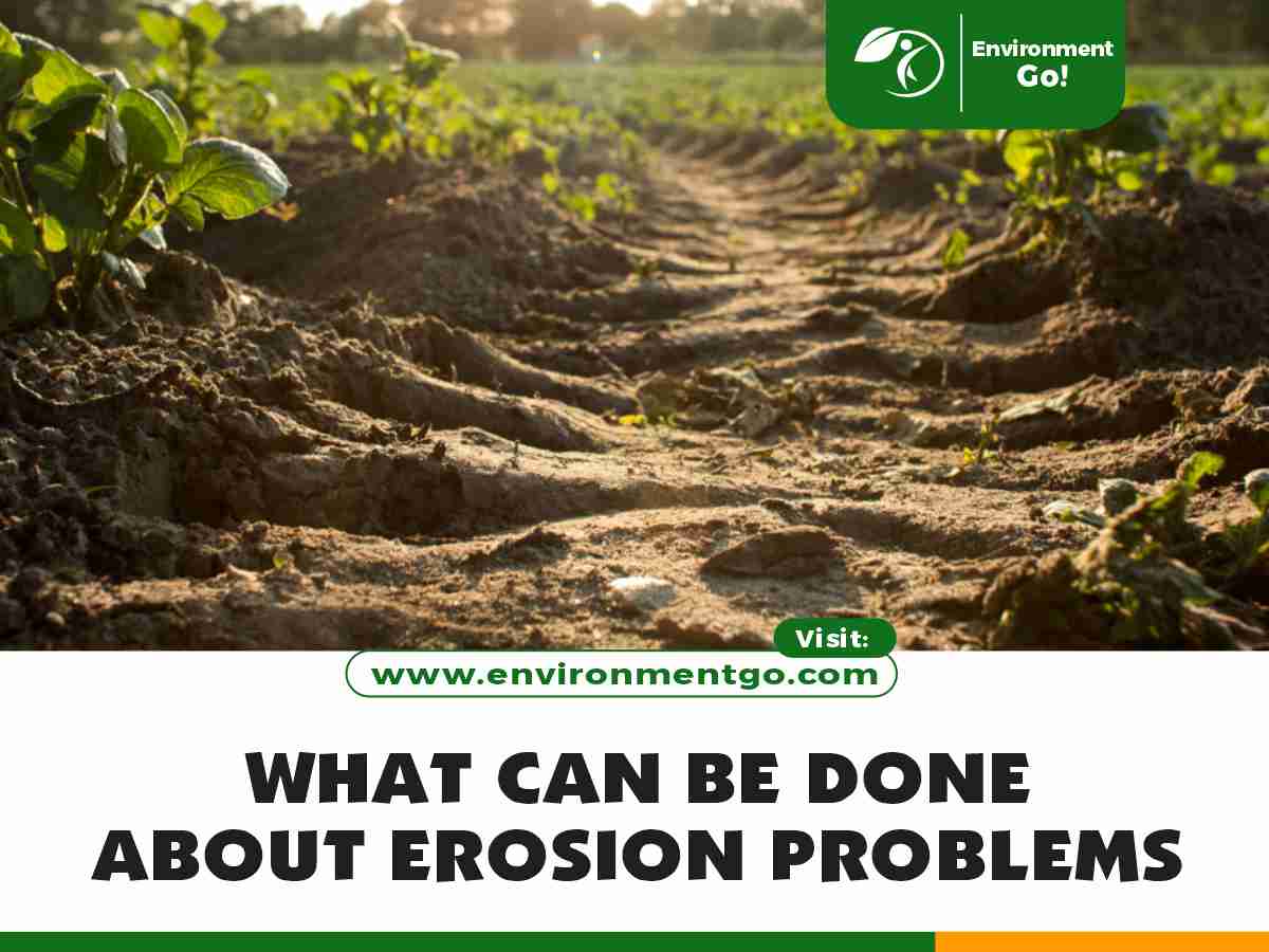 What can be done about Erosion Problems