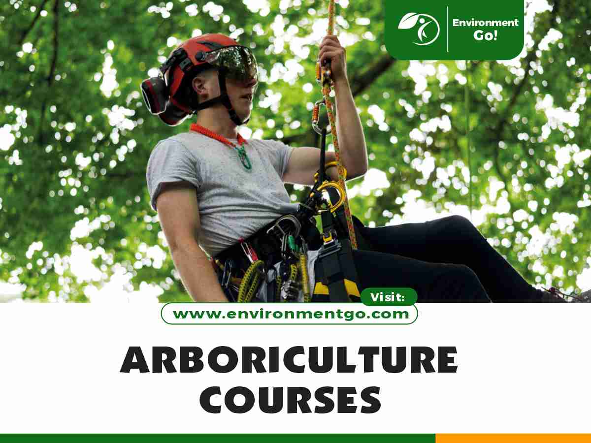 arboriculture courses