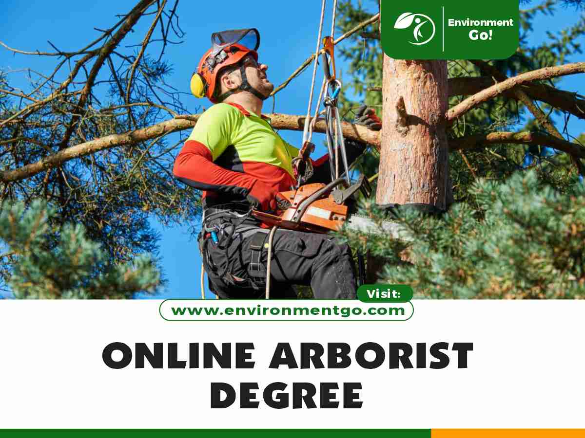 online arborist degree