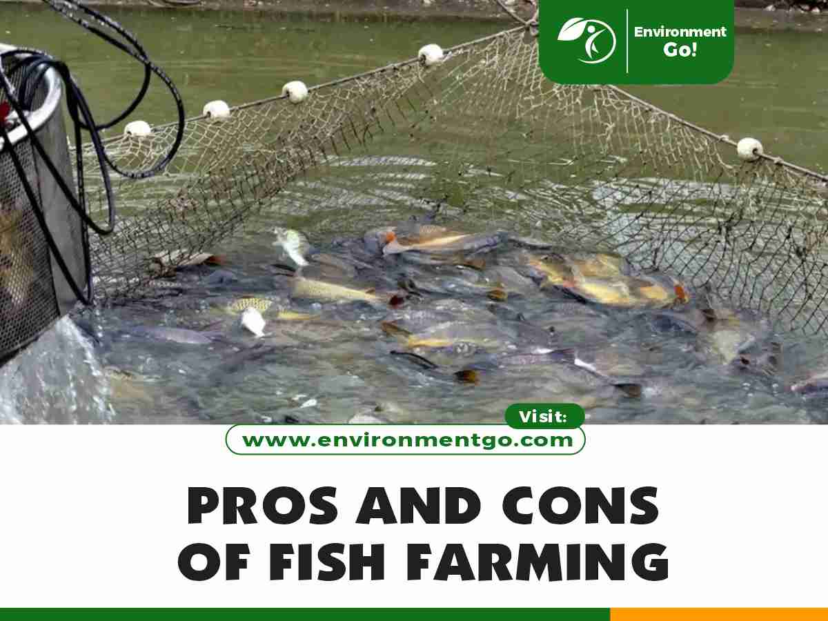 pros and cons of fish farming