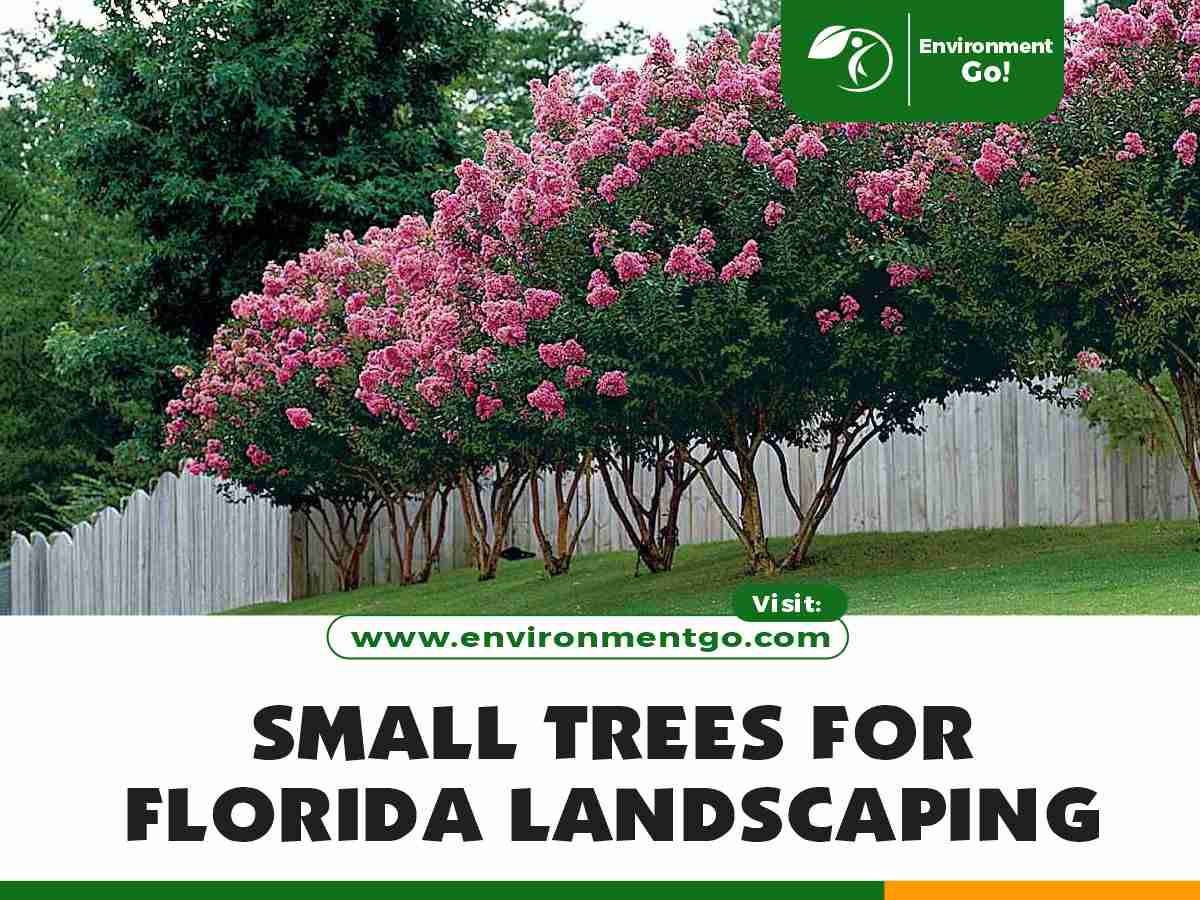 Small Trees for Florida Landscaping