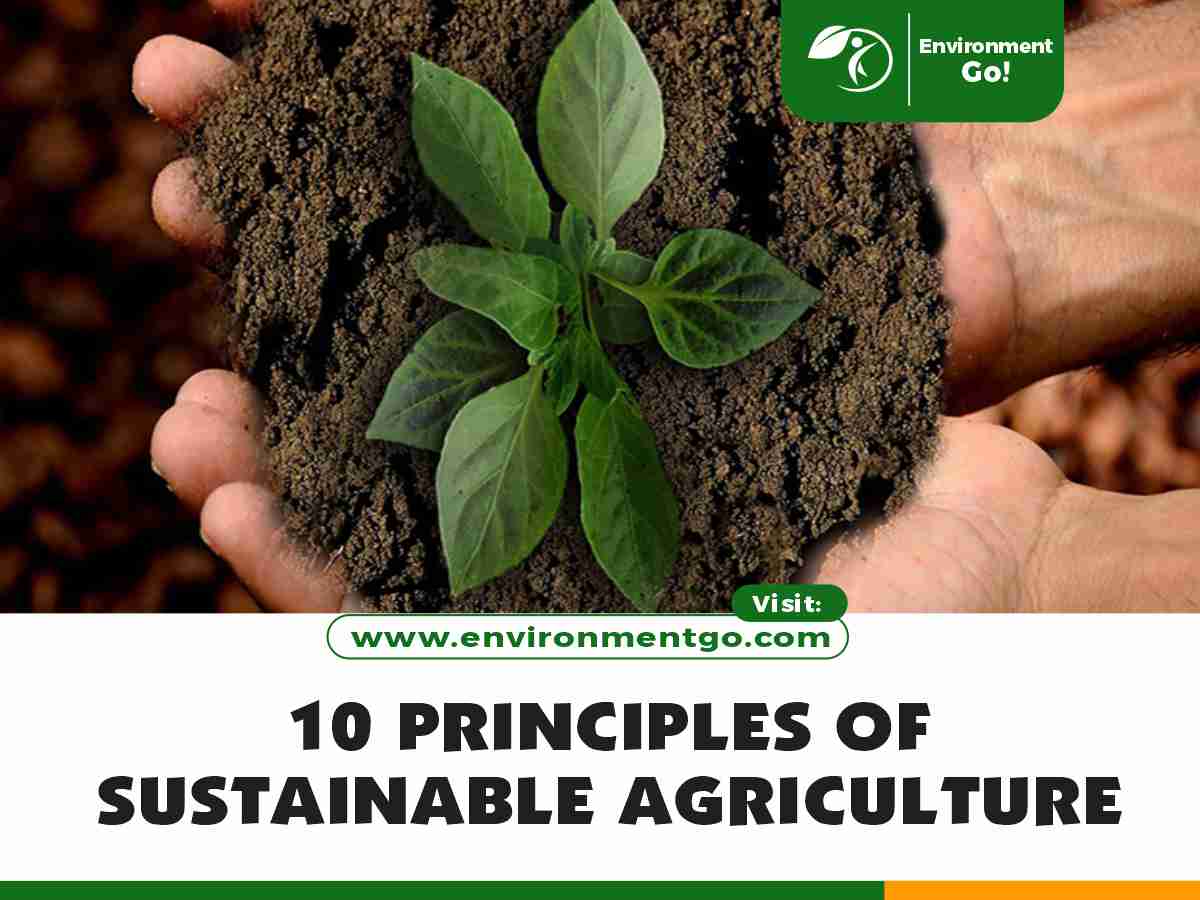 10 Principles of Sustainable Agriculture