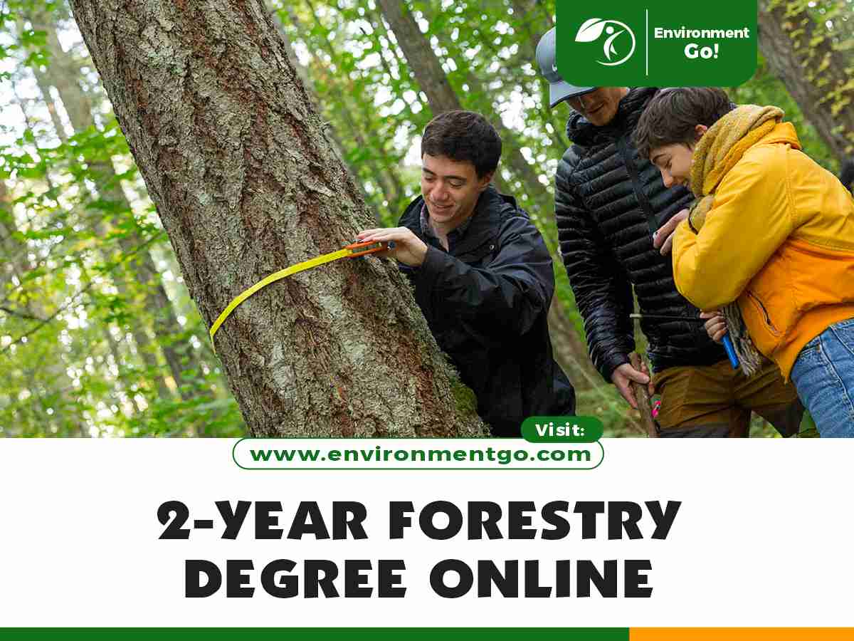 2-year forestry online degree programs