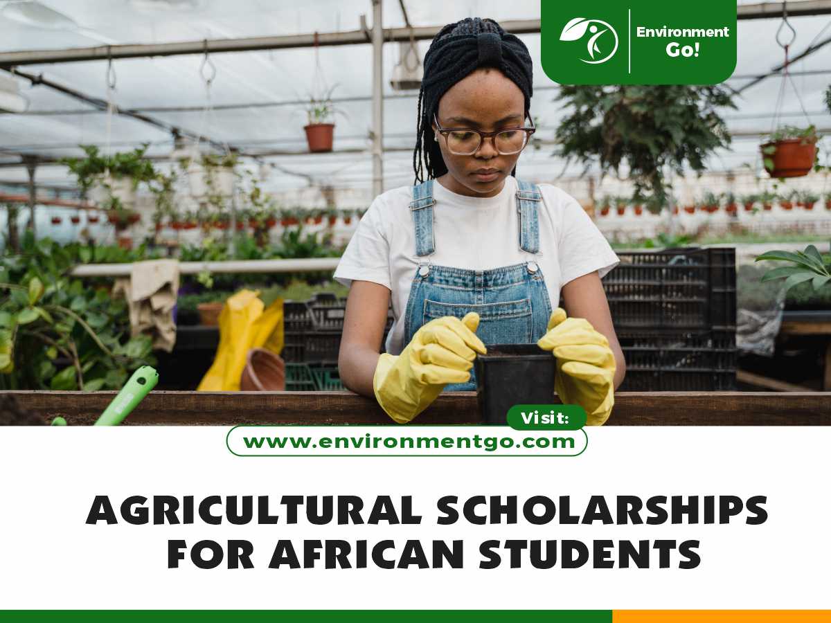 18 Best Agricultural Scholarships For African Students - Environment Go!