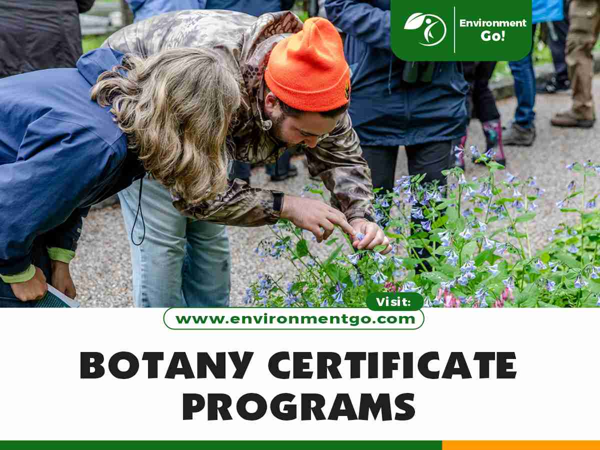 Botany Certificate Programs