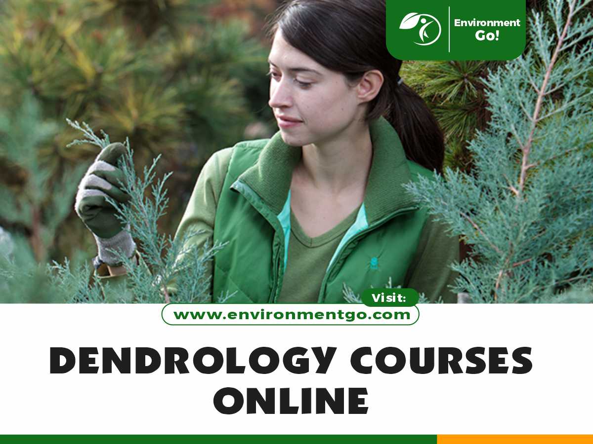 Dendrology Courses Online