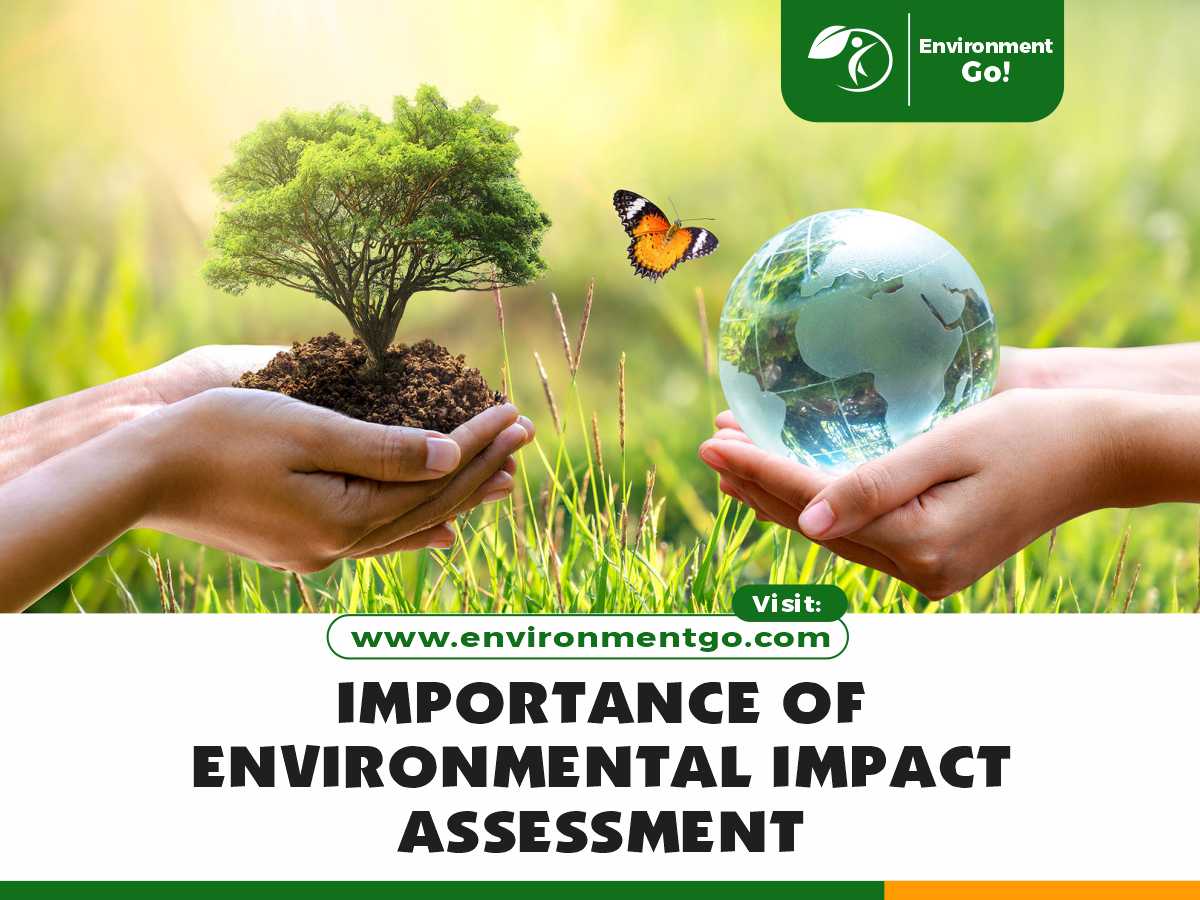 Importance of Environmental Impact Assessment
