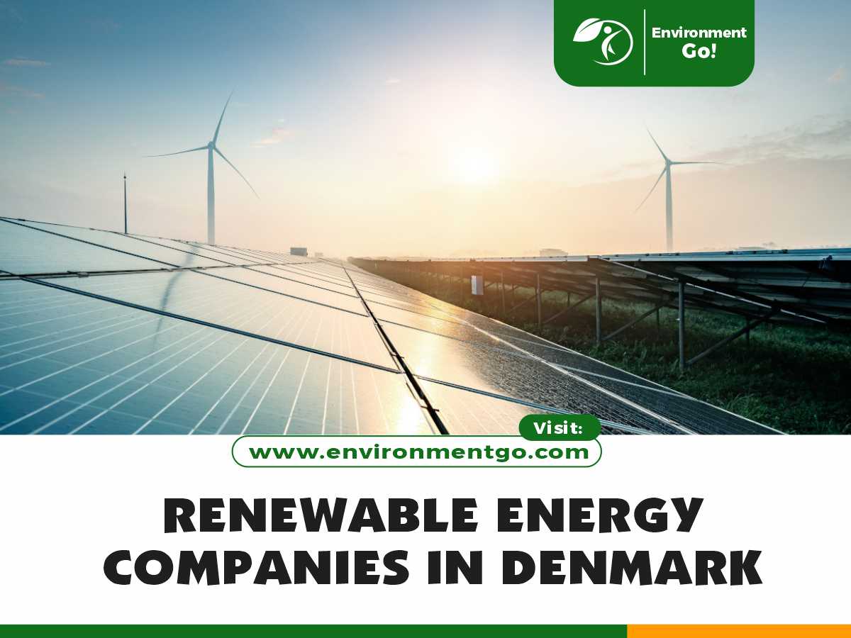 Společnosti obnovitelné energie v Dánsku