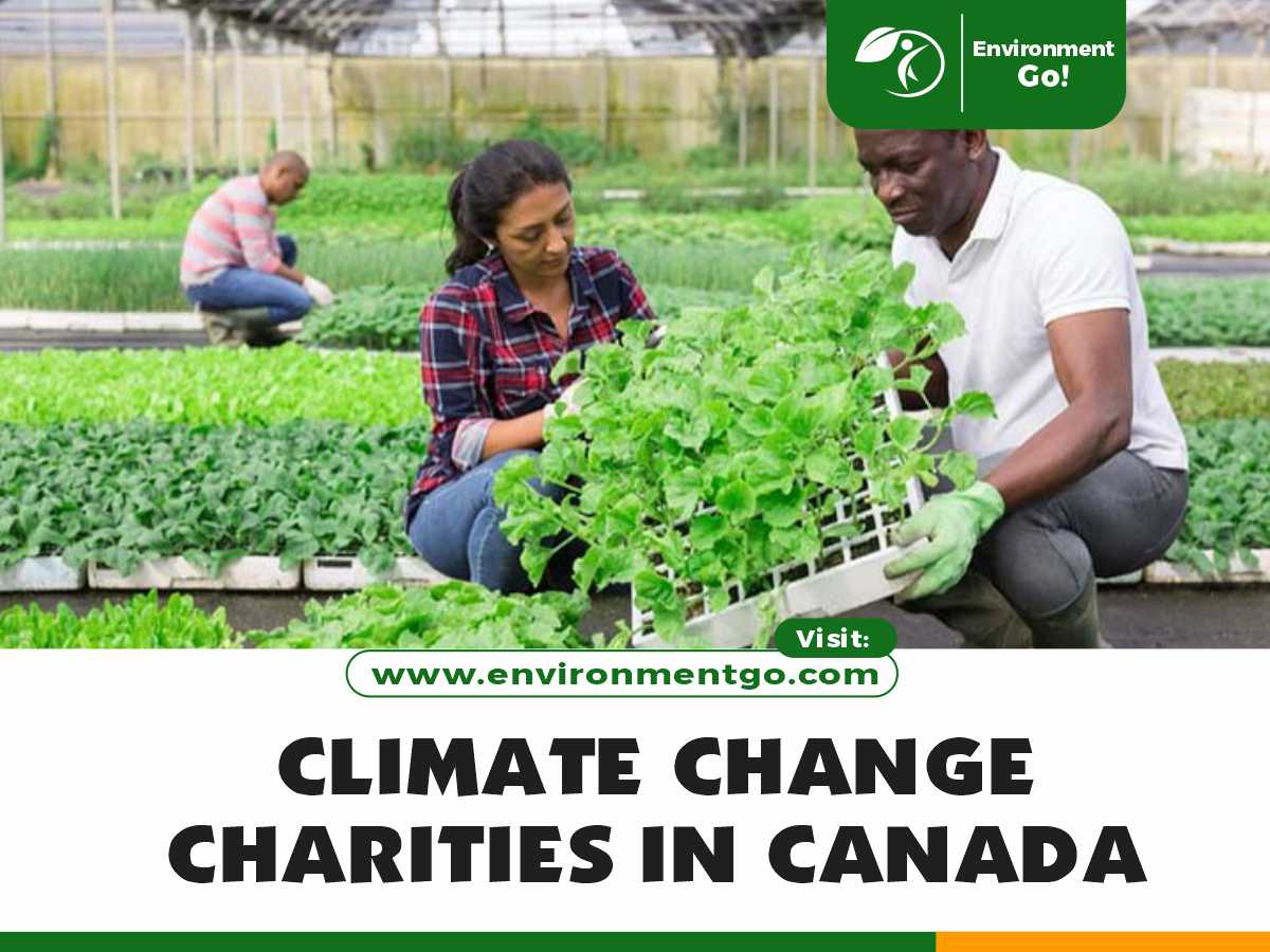 Climate Change Charities in Canada