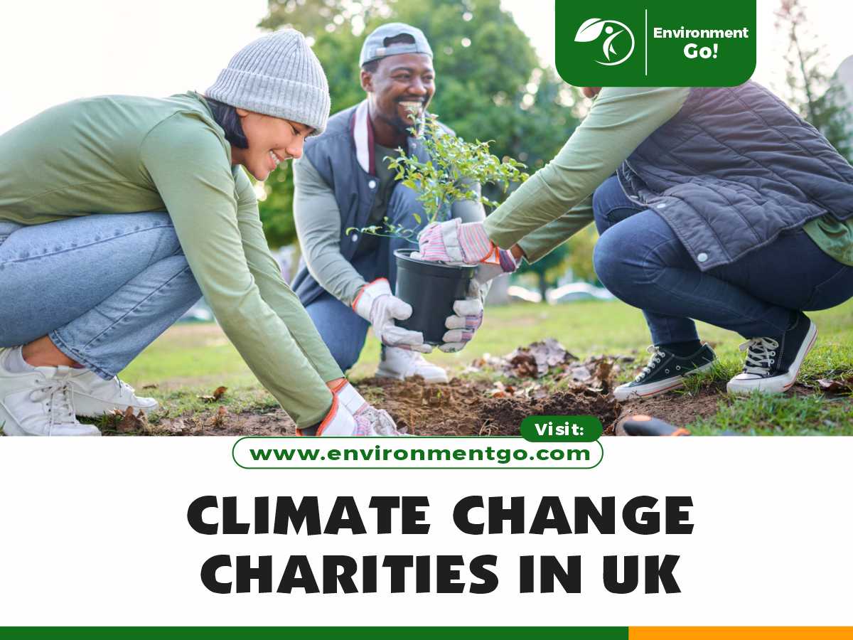 Climate Change Charities in UK