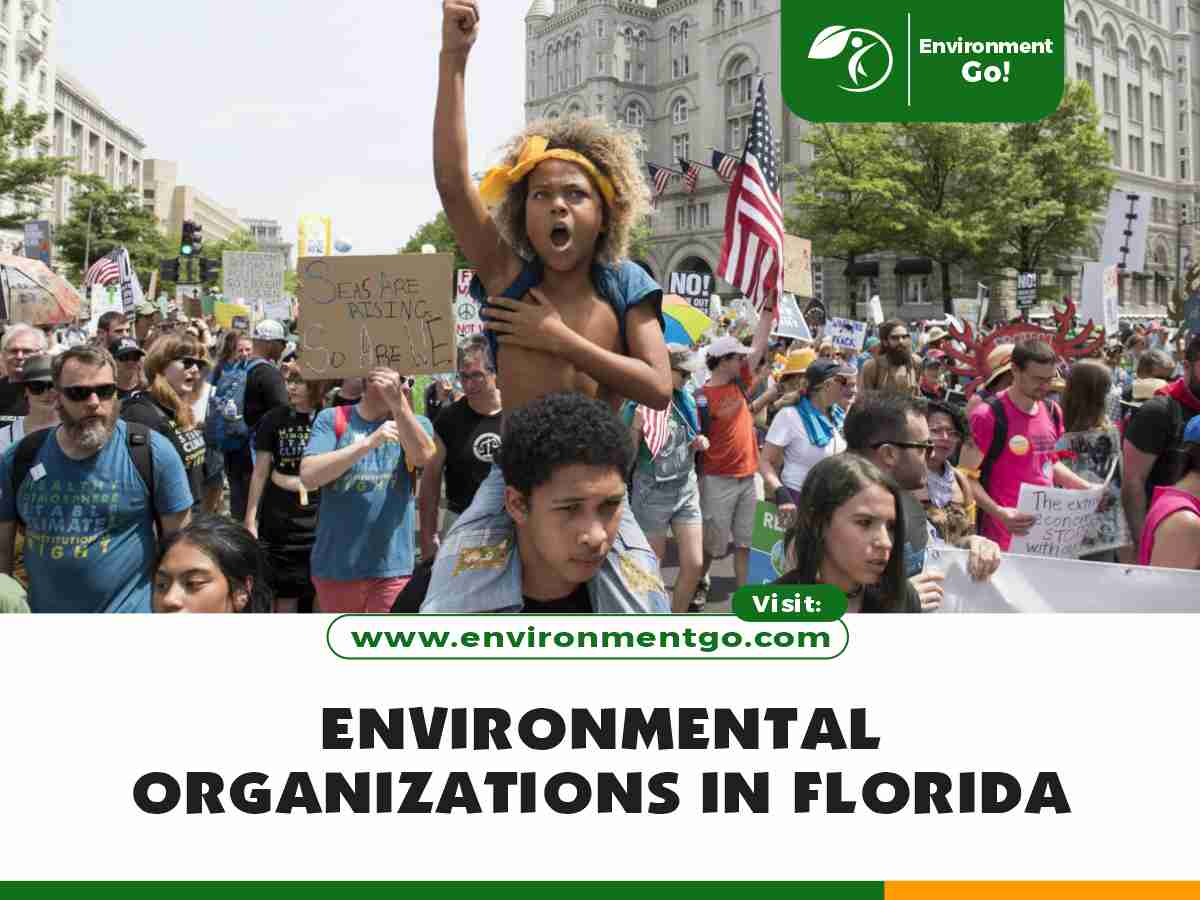 Environmental Organizations in Florida