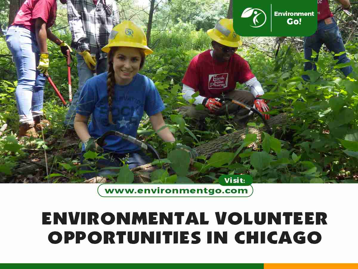 environmental volunteer opportunities in Chicago