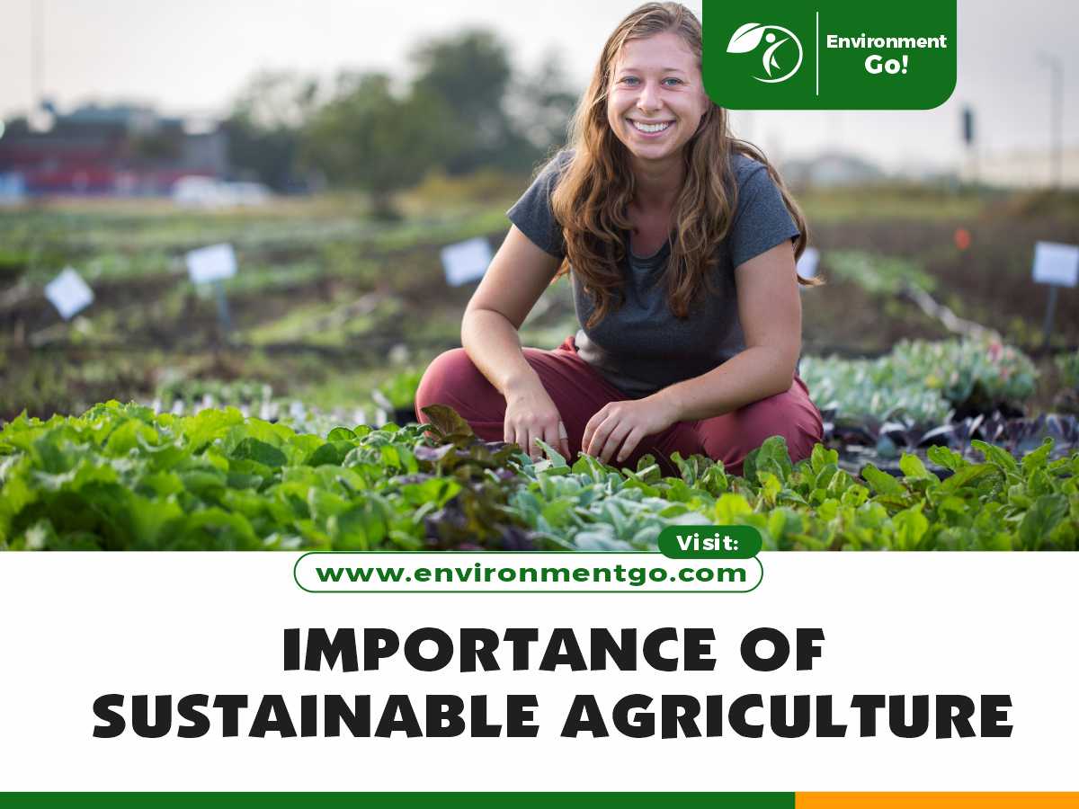 Importance of Sustainable Agriculture
