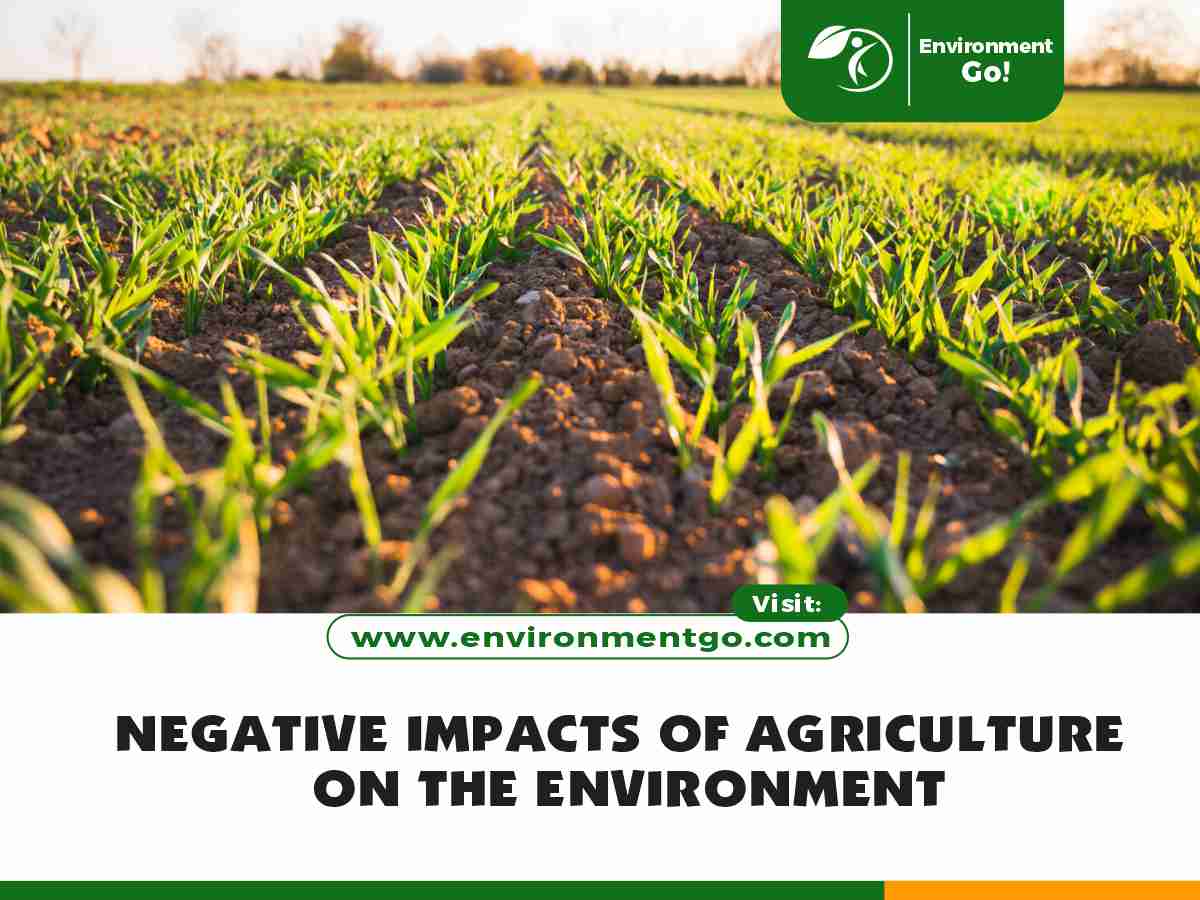 Negative Impacts of Agriculture on the Environment