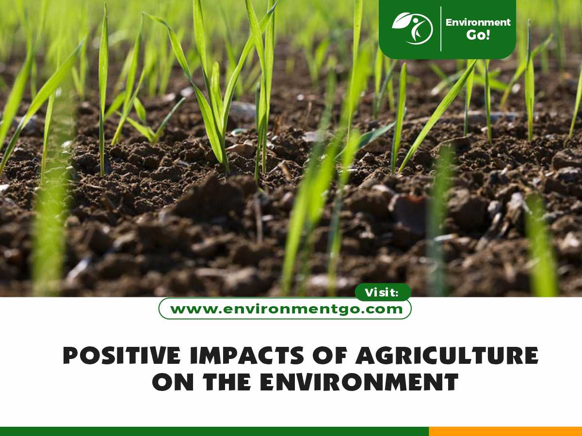 Positive Impacts of Agriculture on the Environment