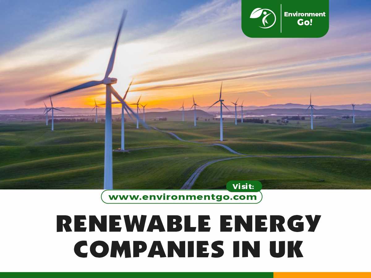 Společnosti obnovitelné energie ve Velké Británii