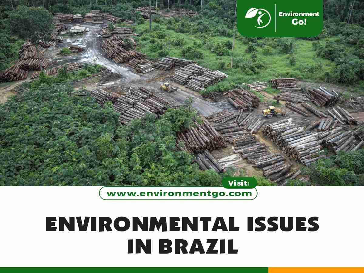 Environmental issues in Brazil