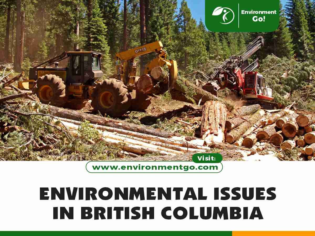 Environmental Issues in British Columbia