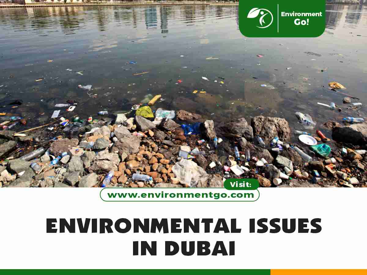 environmental issues in Dubai