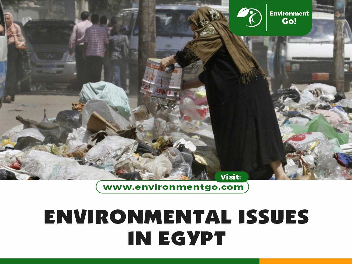 Environmental Issues in Egypt