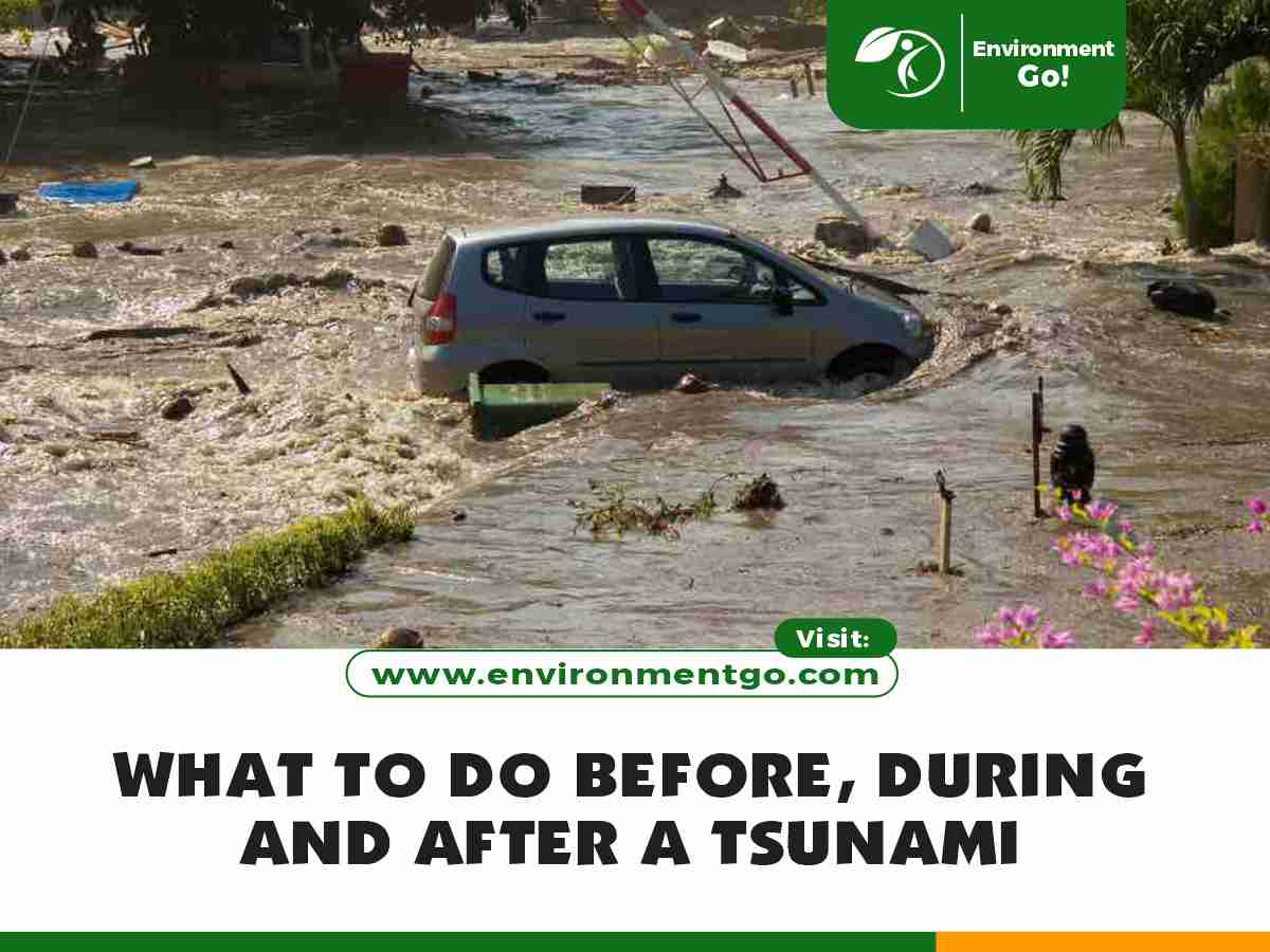 what to do before during and after a tsunami