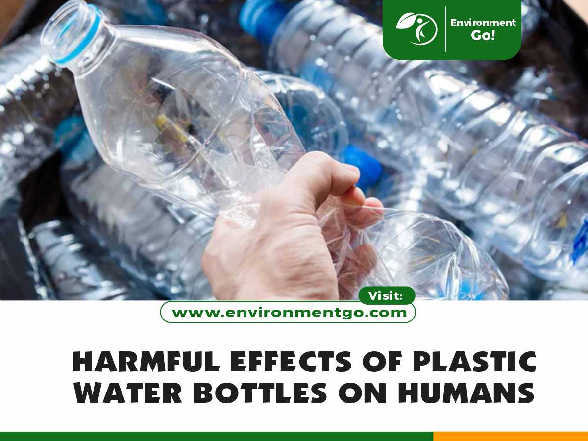 Harmful Effects of Plastic Water Bottles on Humans