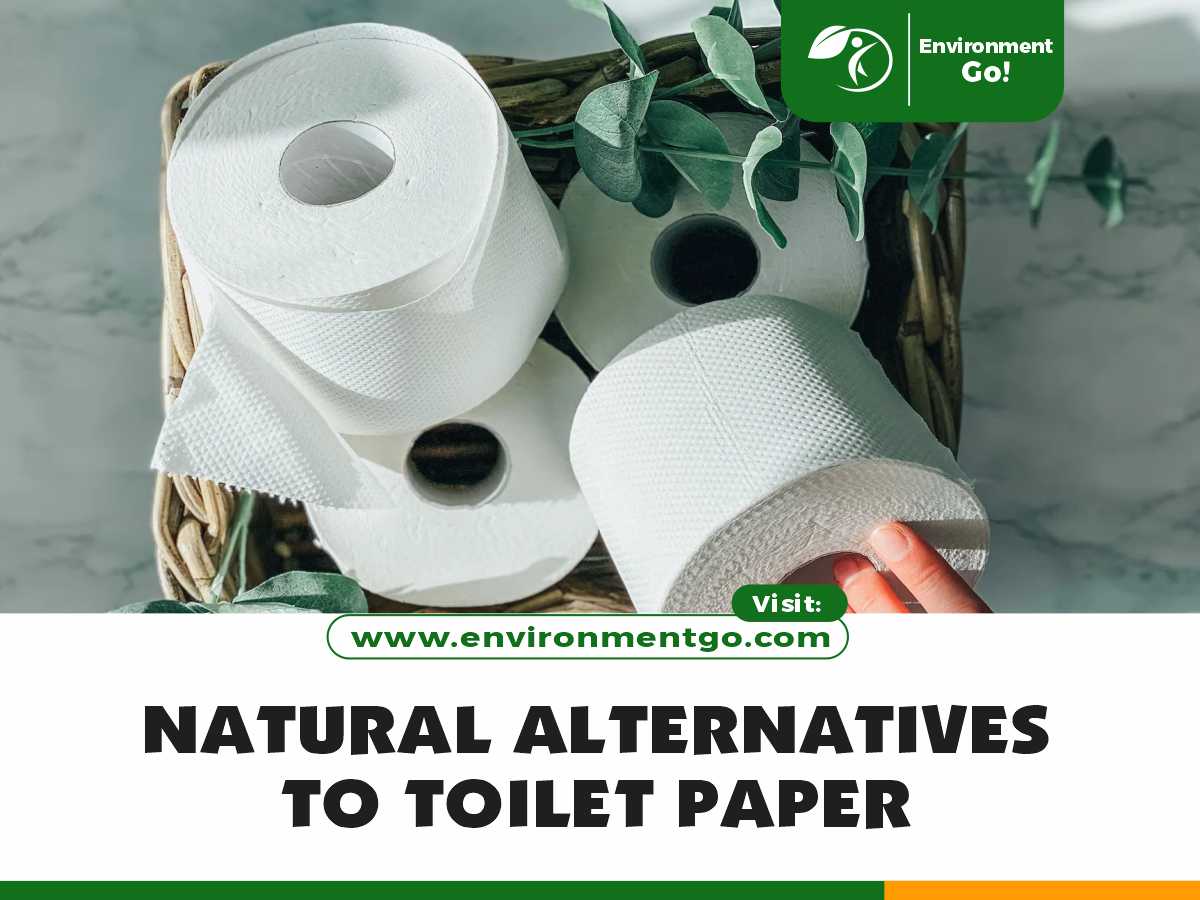 NATURAL ALTERNATIVES TO TOILET PAPER