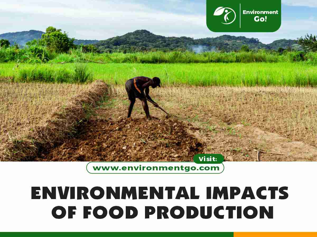 Environmental Impacts of Food Production