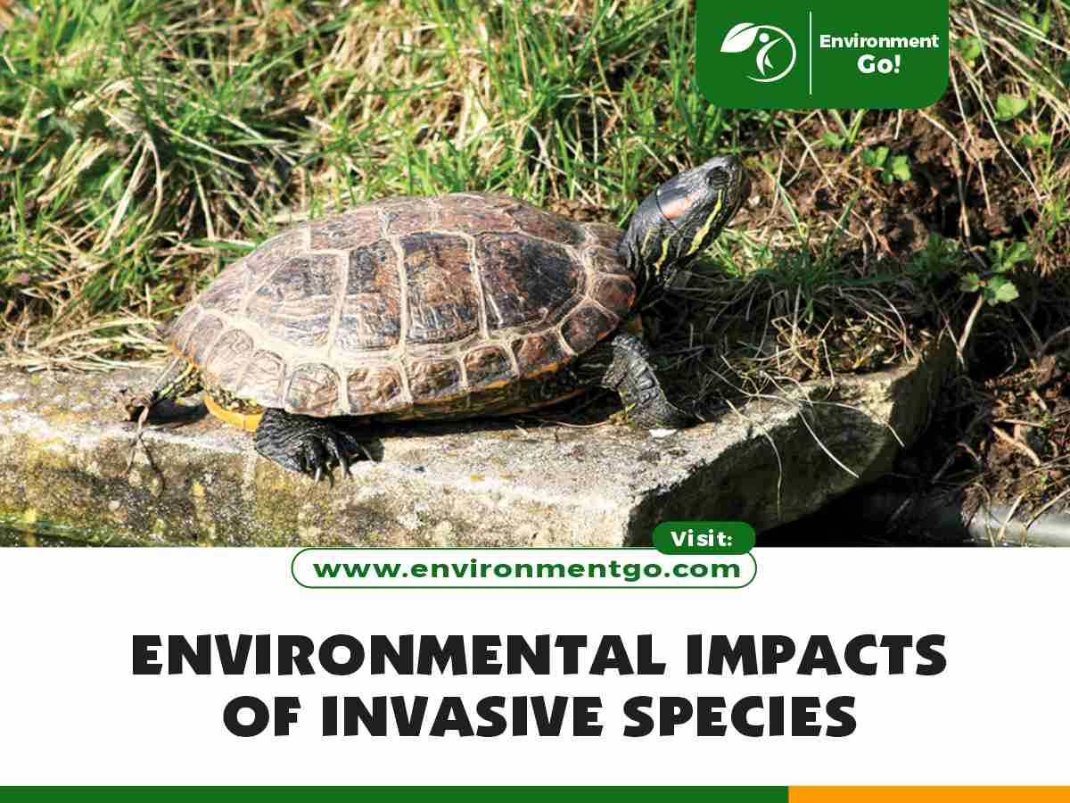 Environmental Impacts of Invasive Species
