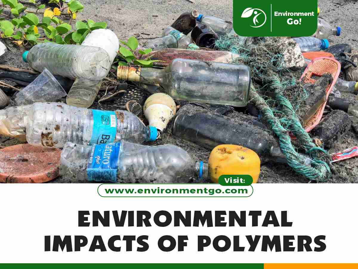 Environmental Impacts of Polymers