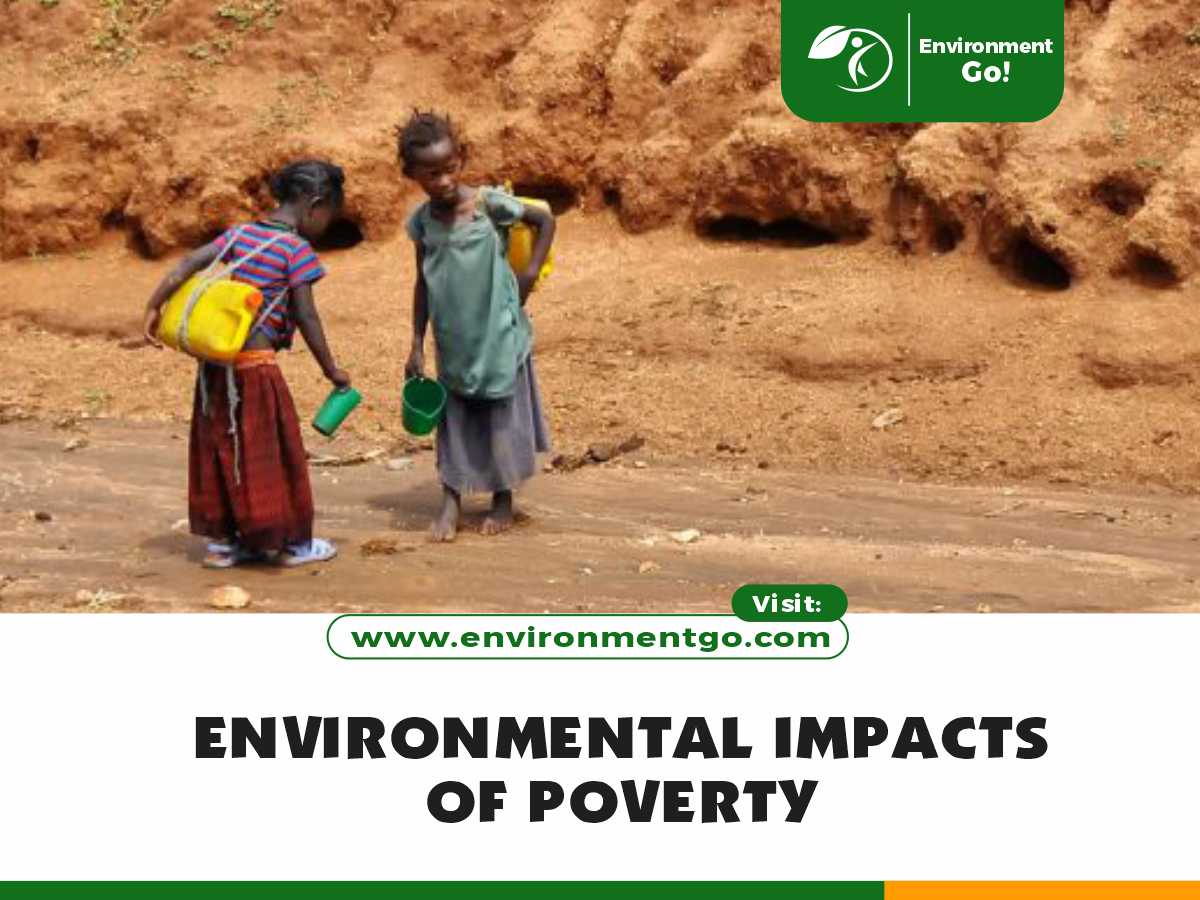 Environmental Impacts of Poverty