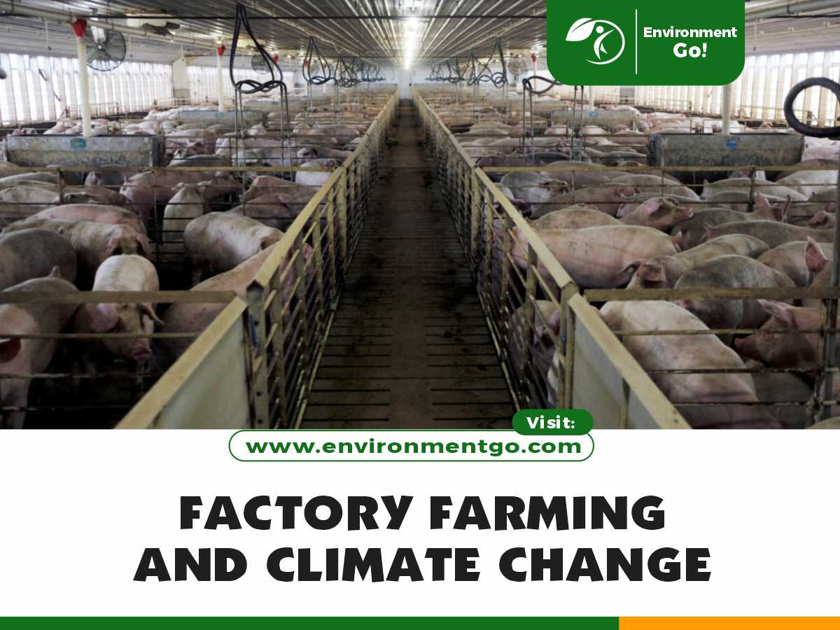 factory farming and climate change