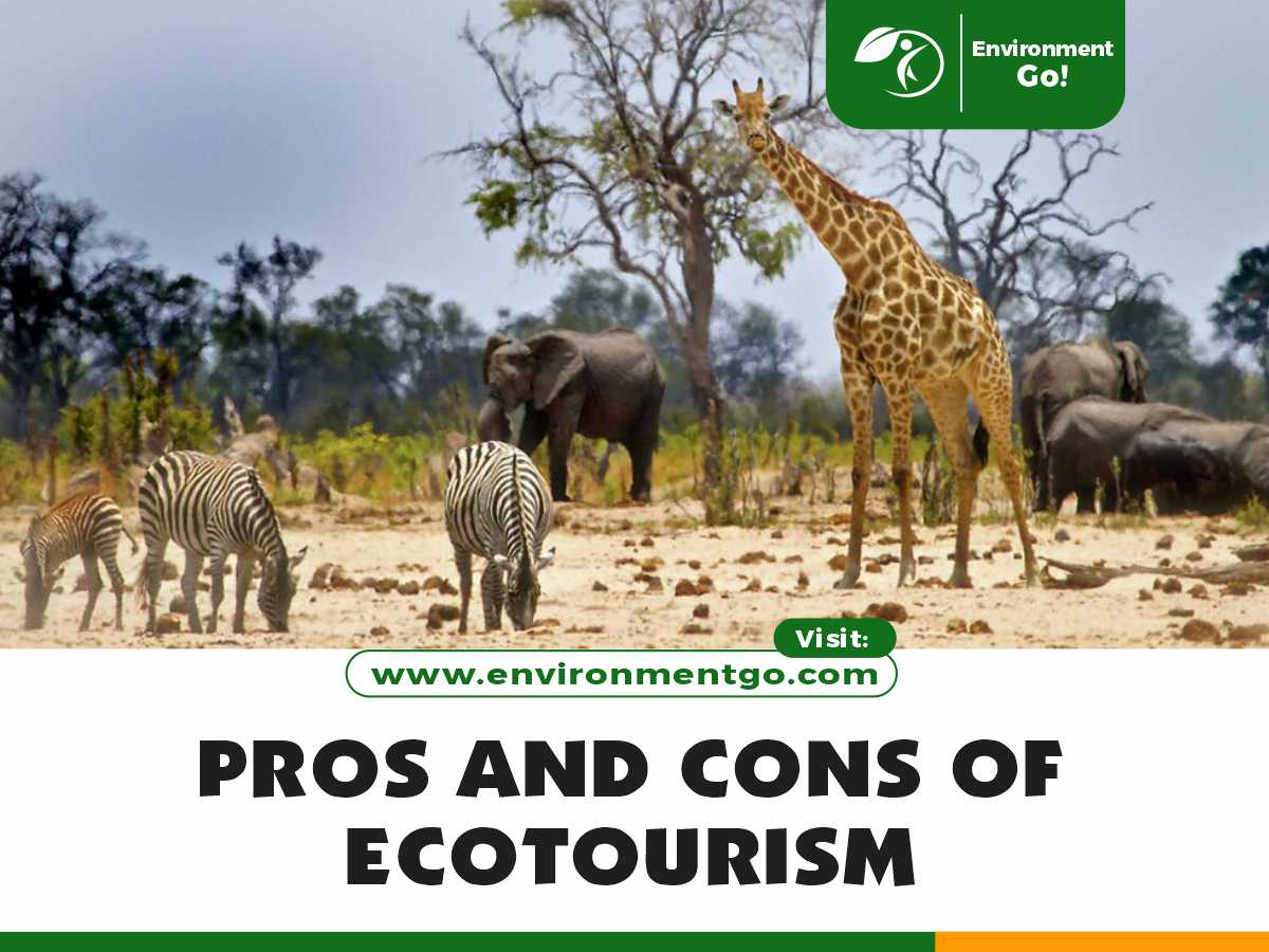 pros and cons of ecotourism