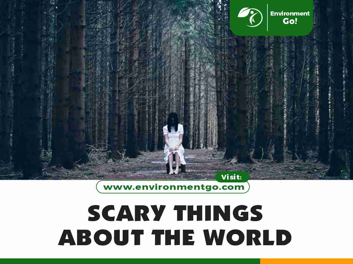 Scary things about the World