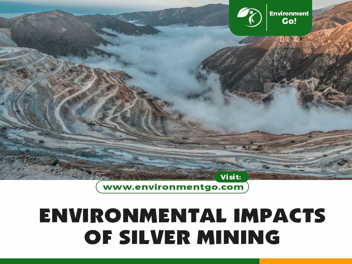 environmental impacts of silver mining