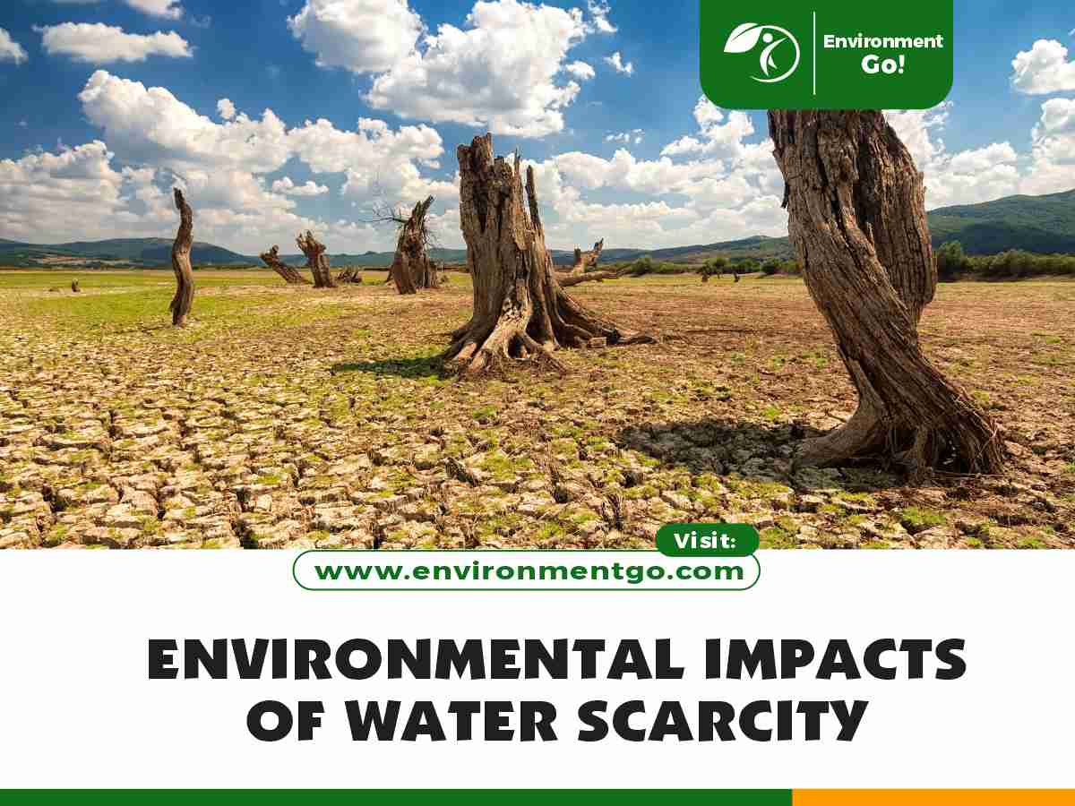 Environmental Impacts of Water Scarcity
